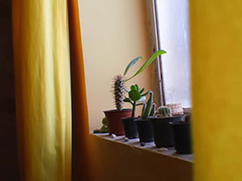 Detail for the Room 3