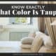 What Color Is Taupe