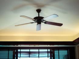 Best Ceiling Fan
