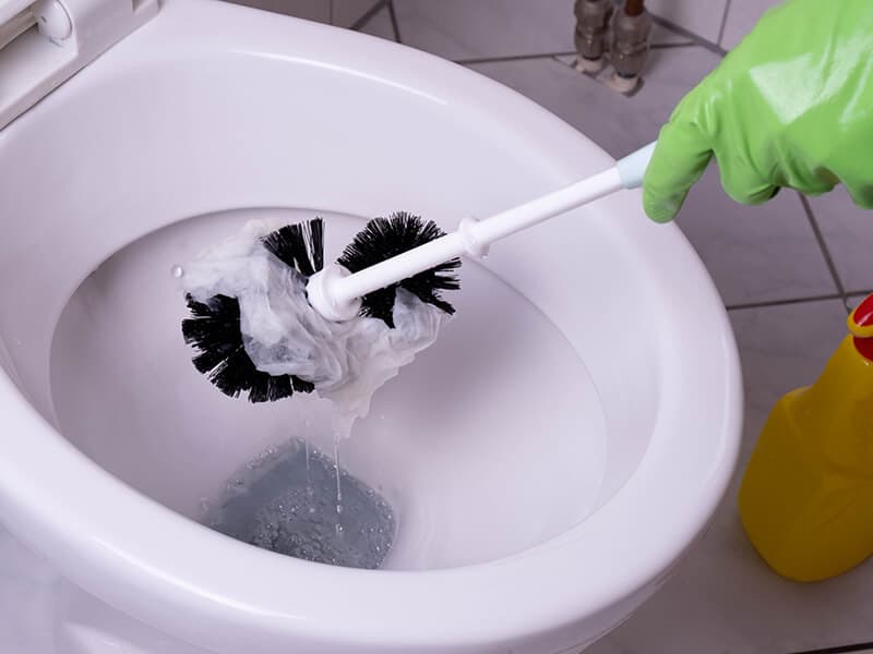 Cleans Clogged Toilet
