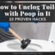 How To Unclog Toilet With Poop