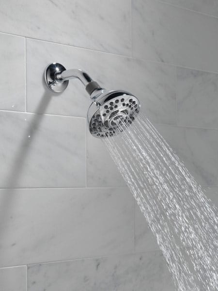 Peerless Shower Head