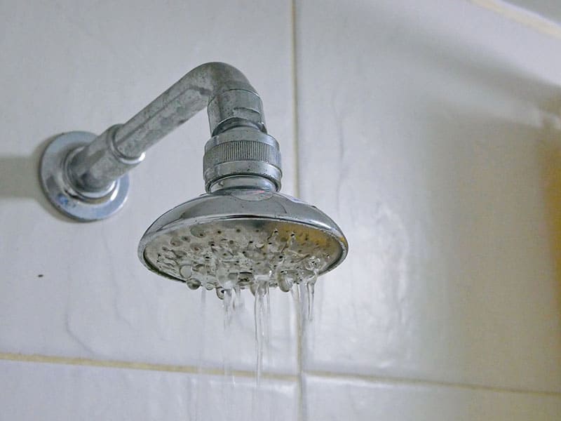 Shower Head Bathroom