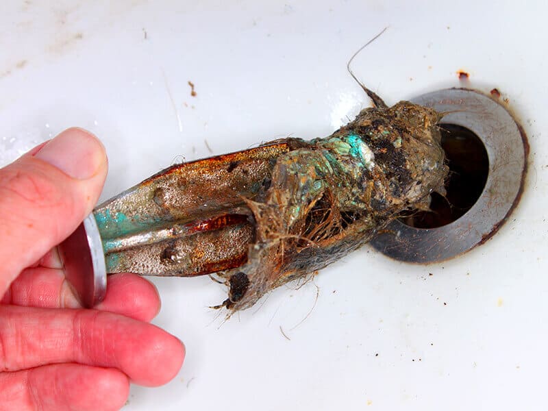 Sink Drain
