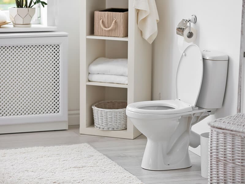 Toilet Bowl Modern