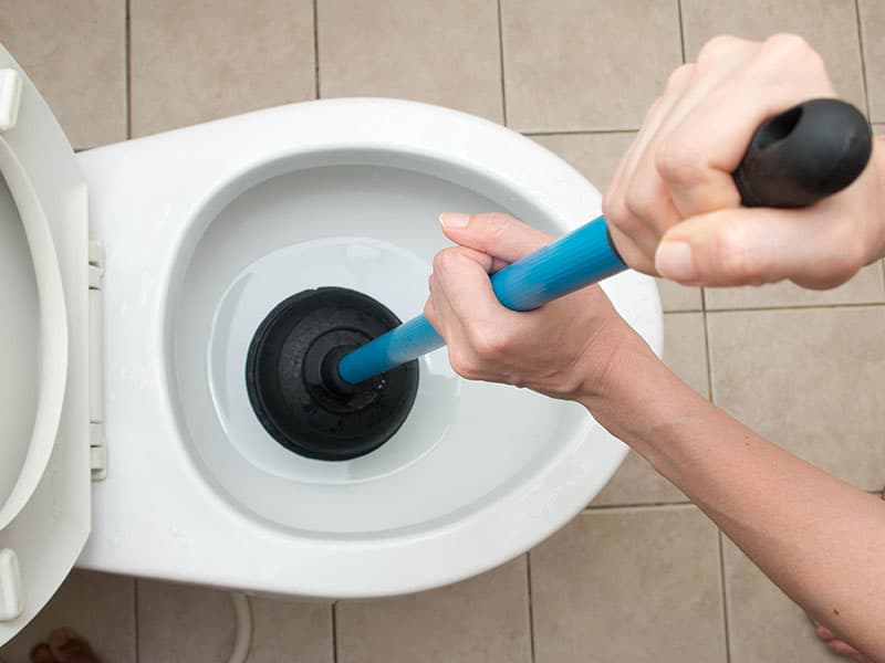 Toilet Repair