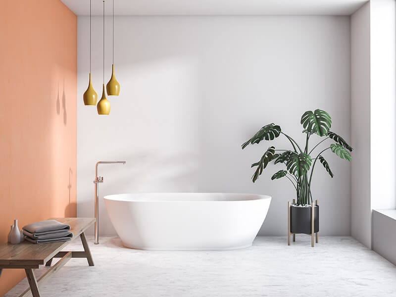 Interior Modern