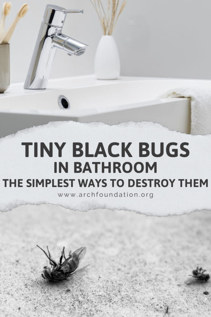 Tiny Black Bugs