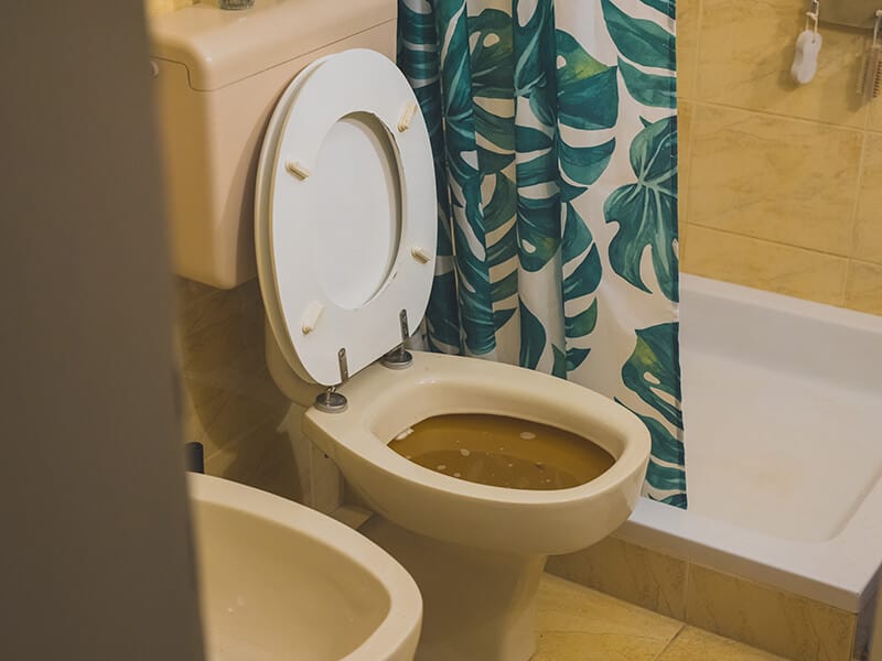Toilet Filled