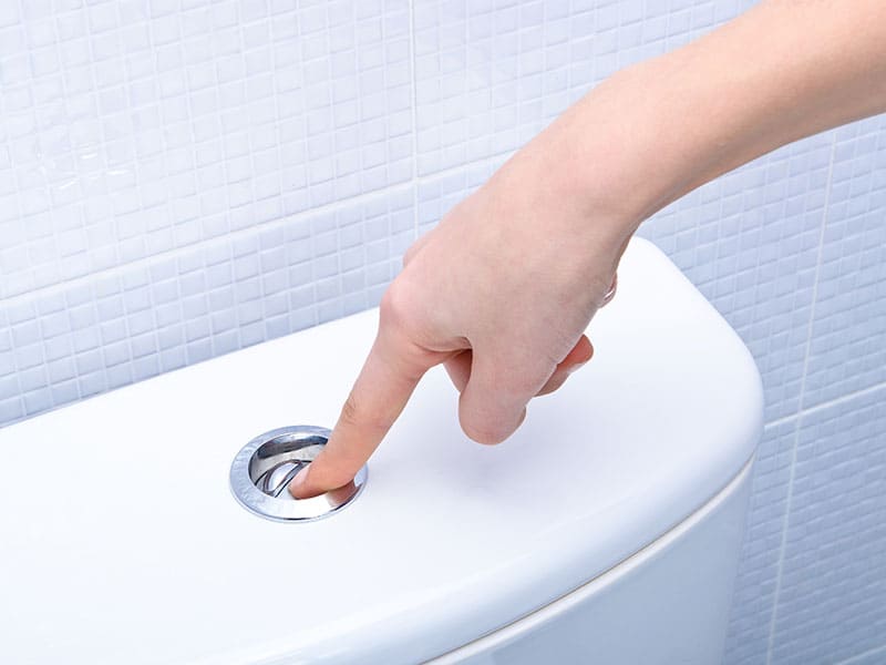 Button Flushing Toilet