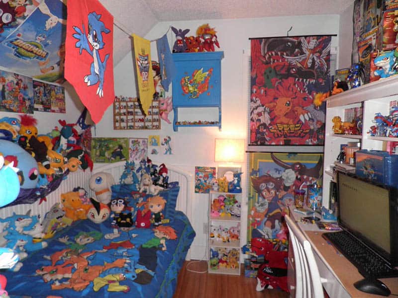 Digimon Theme Room