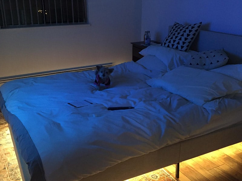 13 Under Your Bed