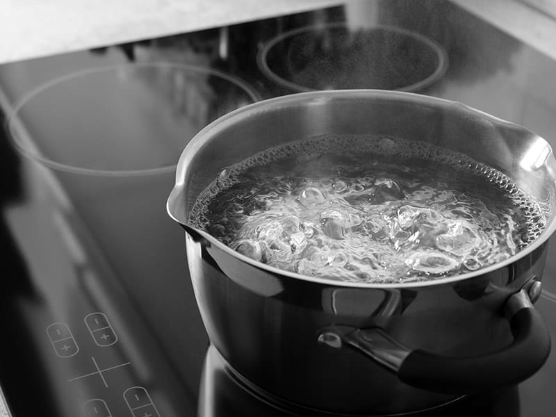 Boiling Water Eradicate Ant Nests