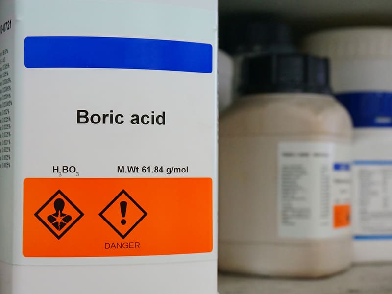 Boric Acid Handy In Killing Ants