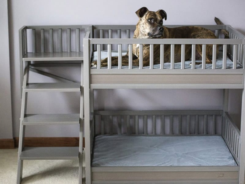 Bunk Bed 