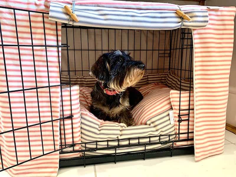 Cabana Bed 