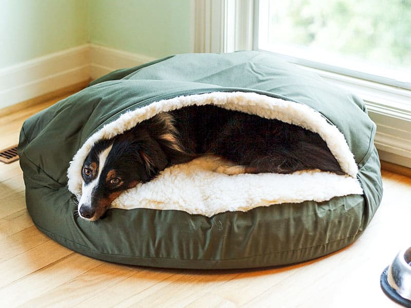 Cave Bed 