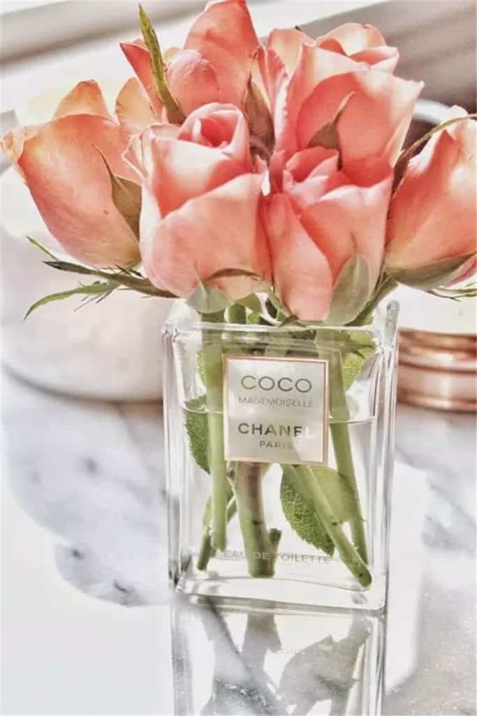 Chanel Cohorts