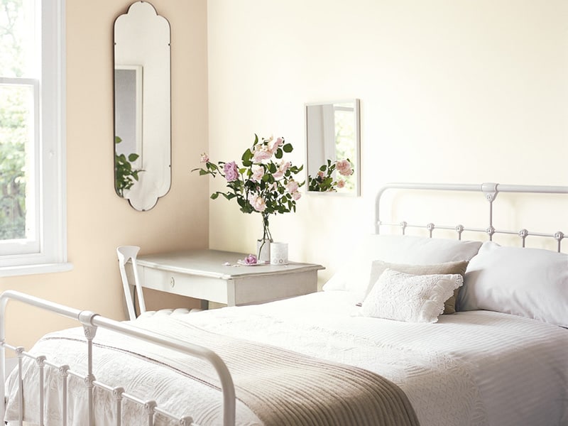 Cozy Cream And White