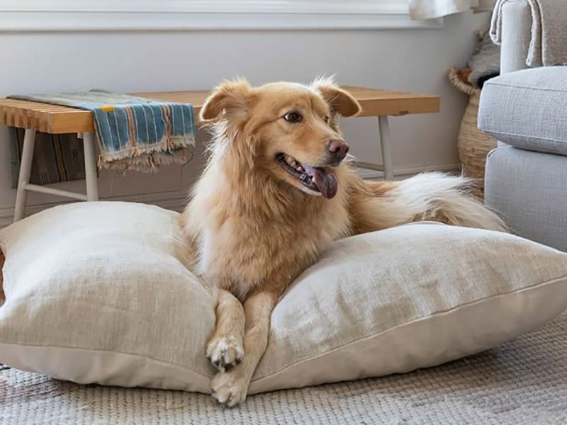 Cute Pillow Bed
