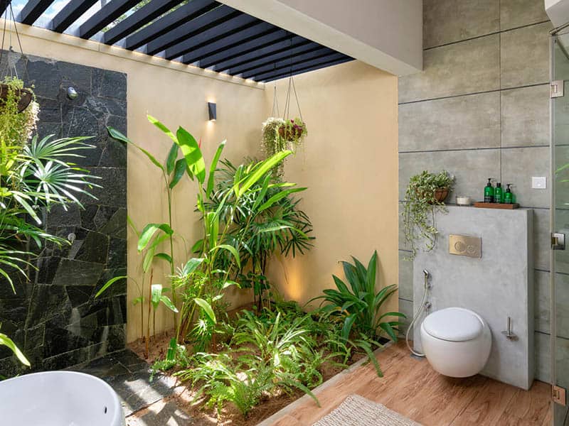 Delicate White Toilet