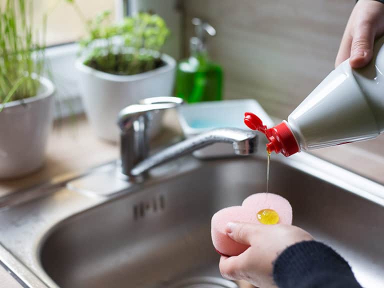 How To Get Rid Of Ants In Your Bathroom An Easy Guide 2024