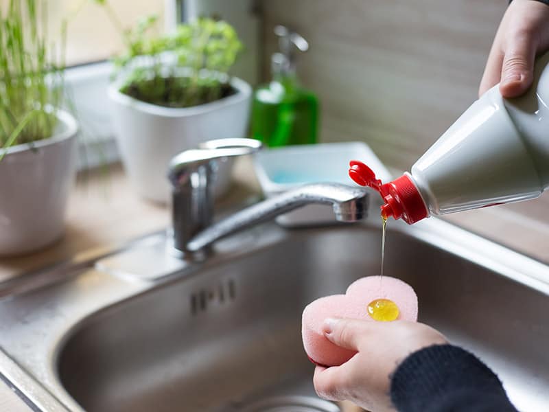 Dish Soap Eliminate The Ant Colonies