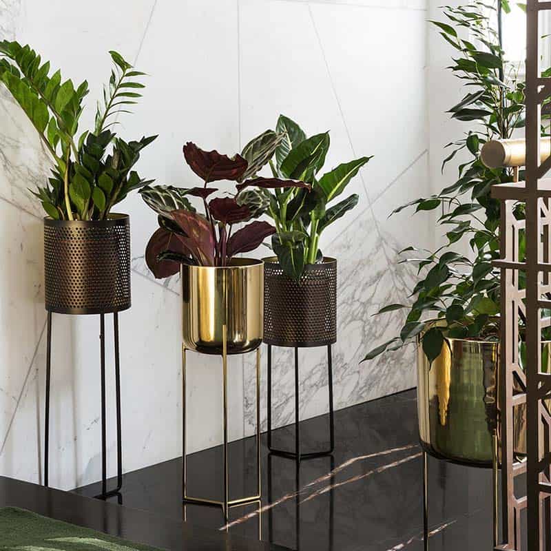 Glam Greenery