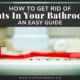 How To Get Rid Of Ants In Your Bathroom