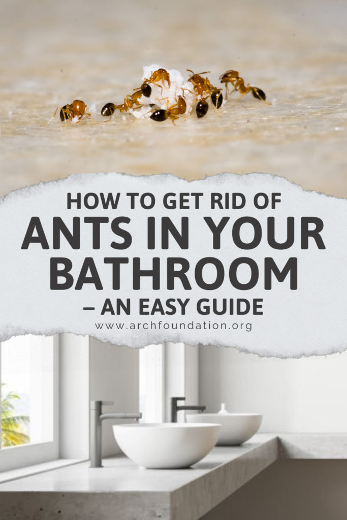 How To Get Rid Of Ants In Your Bathroom