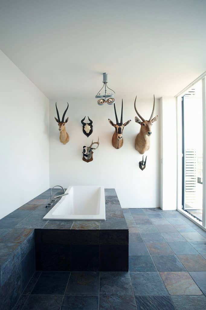 Hunting Trophy Collection