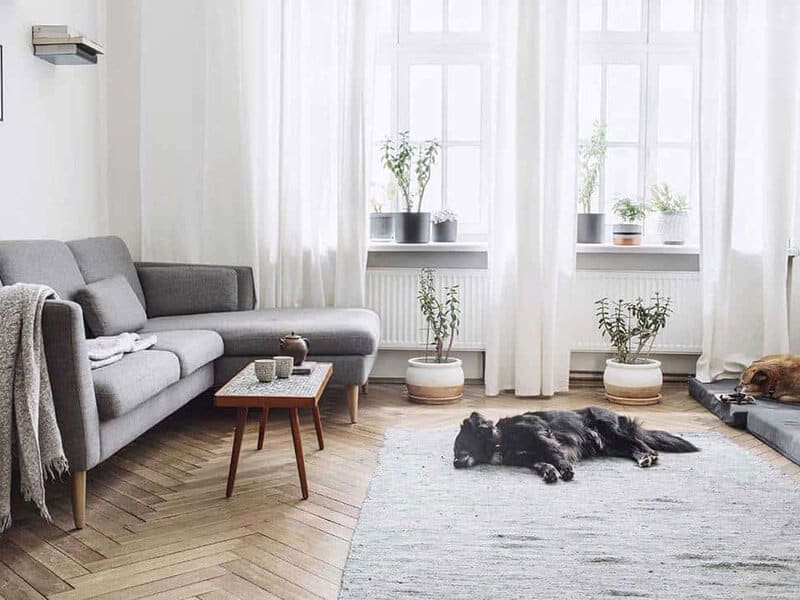 Interior Living Room