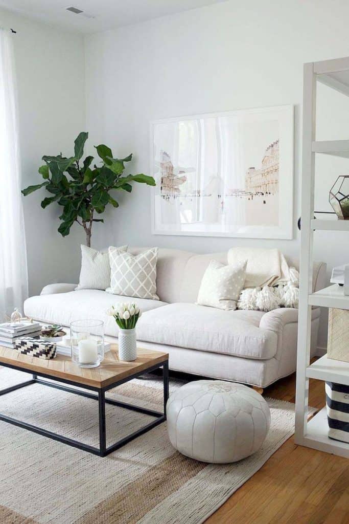Neat And Clean Crisp White