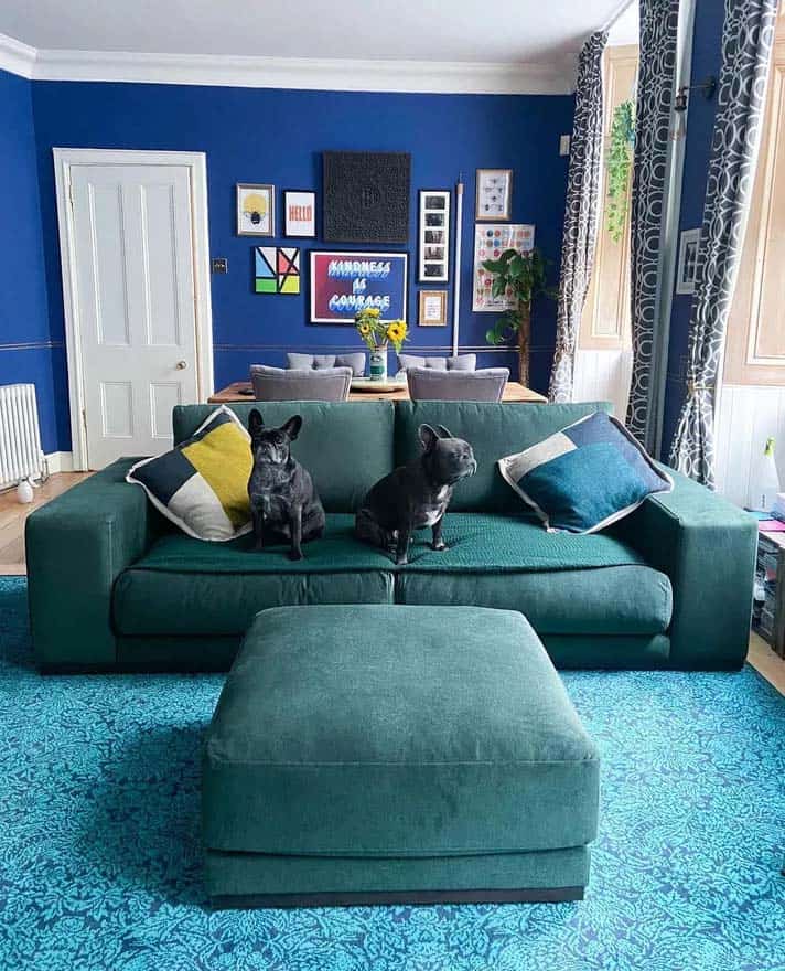 Opt For Bright Blue Carpet