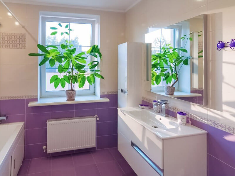 Purple Master Bathroom