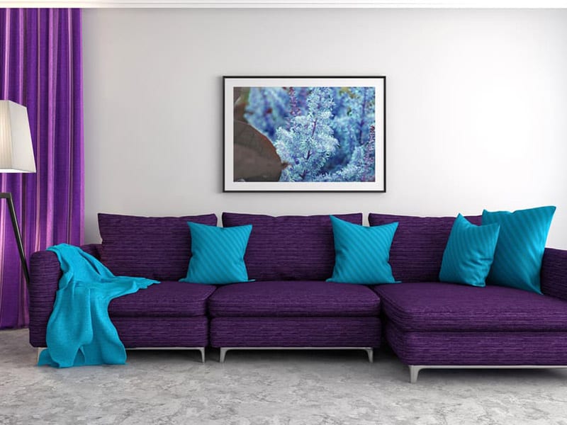 Royal Purple Sofa