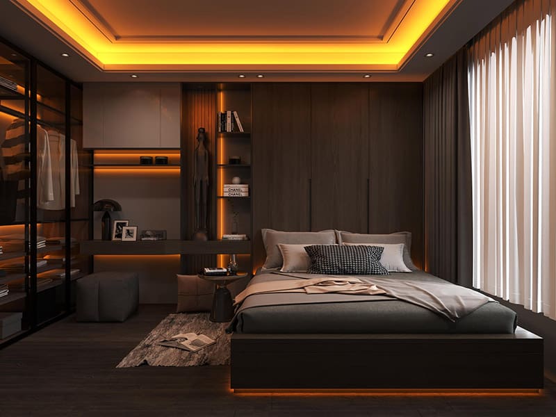 The Bold Lights