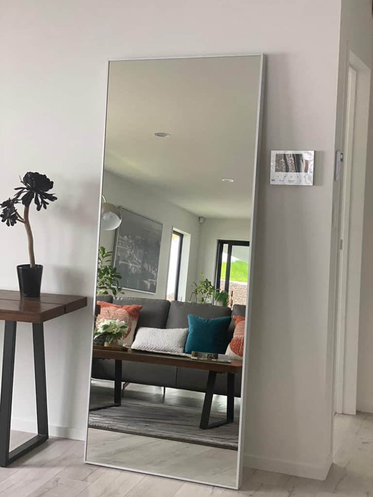 Versatile Mirror Affordable Price