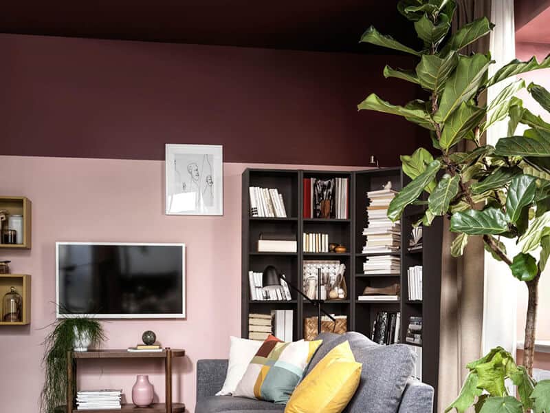 Wall Paint Colors