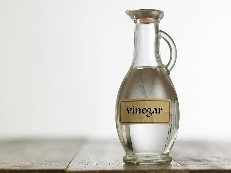 White Vinegar Get Rid Of Ants