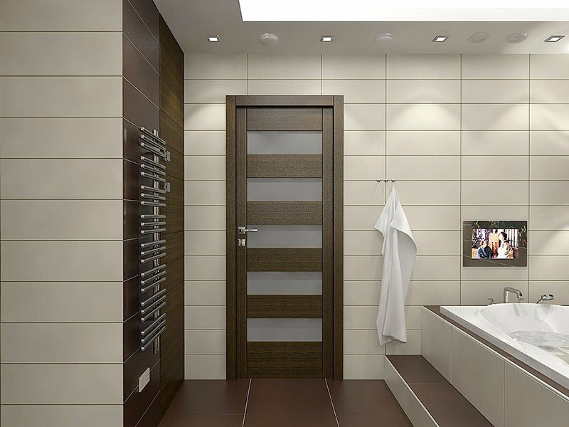 Wooden Door With Vision Panels