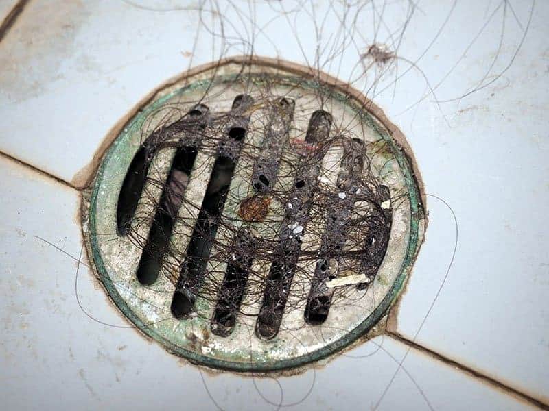 Dirty Shower Drain Cover