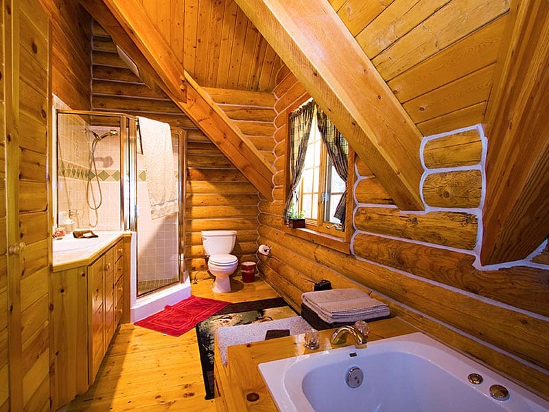 Ski Lodge Cabin Bathroom 