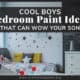 Cool Boys Bedroom Paint Ideas