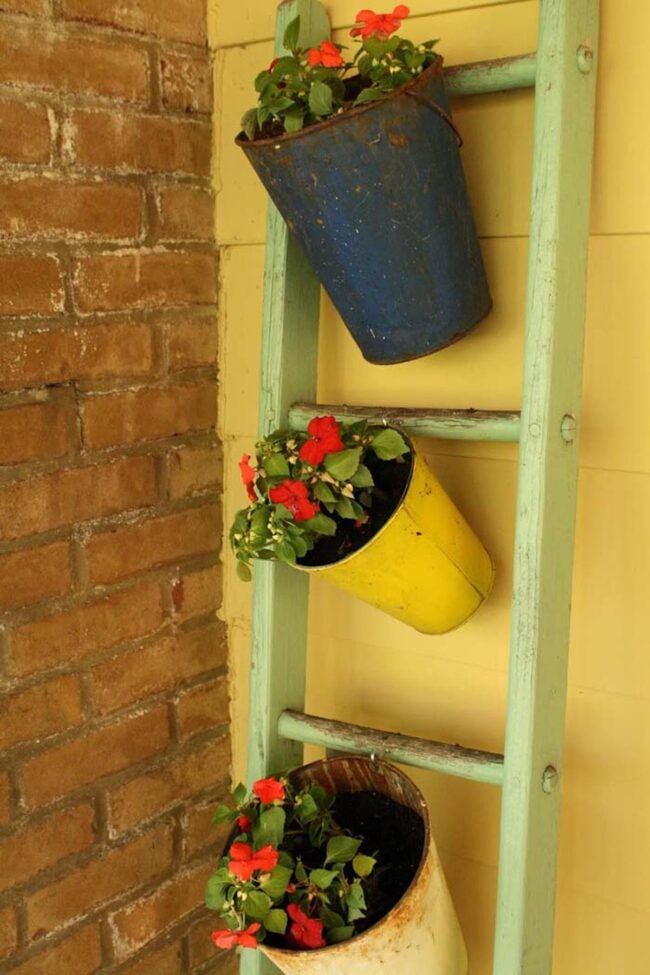 Ladder Planter Display