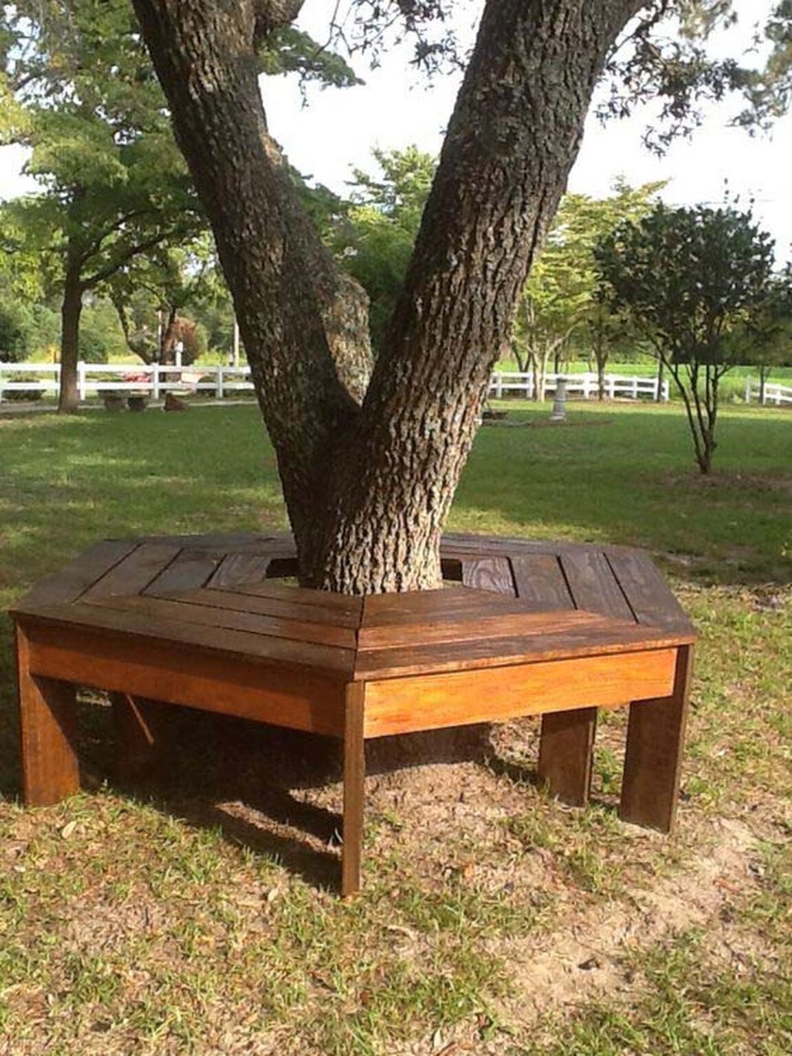 54 Beautiful Bench Around Tree Ideas to Transform Your Garden Space
