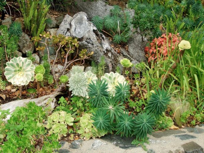 Use a Rain Garden