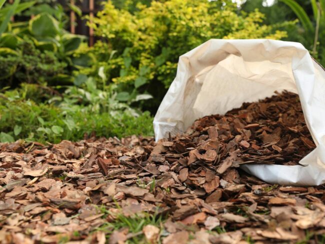 Consider Mulching