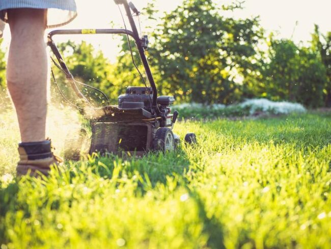 Mow to Manage