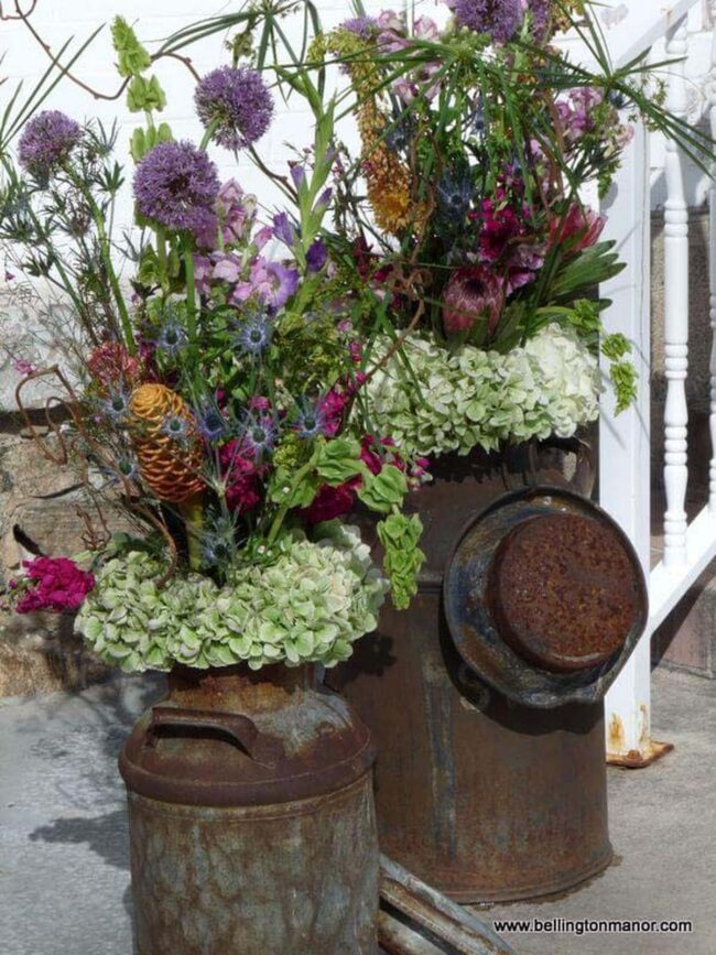 Vibrant Blooms on Steel